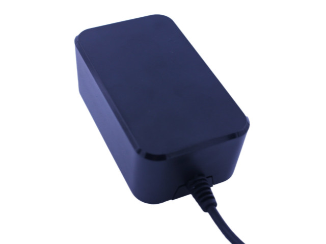 48W Switching Mode Power Supply